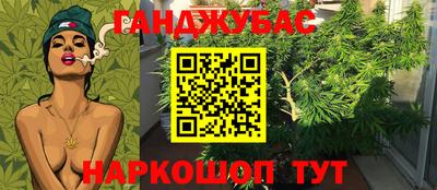 гашишное масло Сланцы