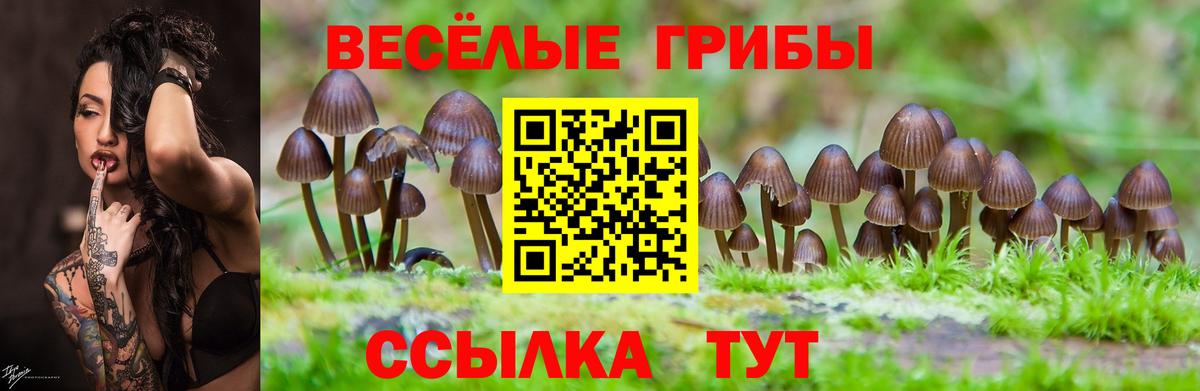 Псилоцибиновые грибы ЛСД Рузаевка